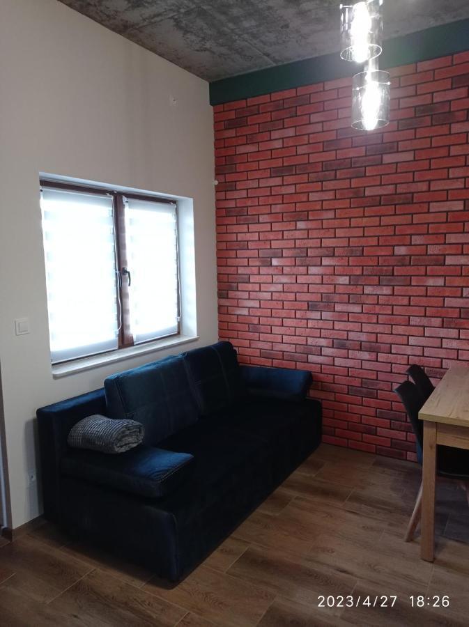 Вилла Loft Park Zator, Lokalizacja Przy Wej Parku Экстерьер фото