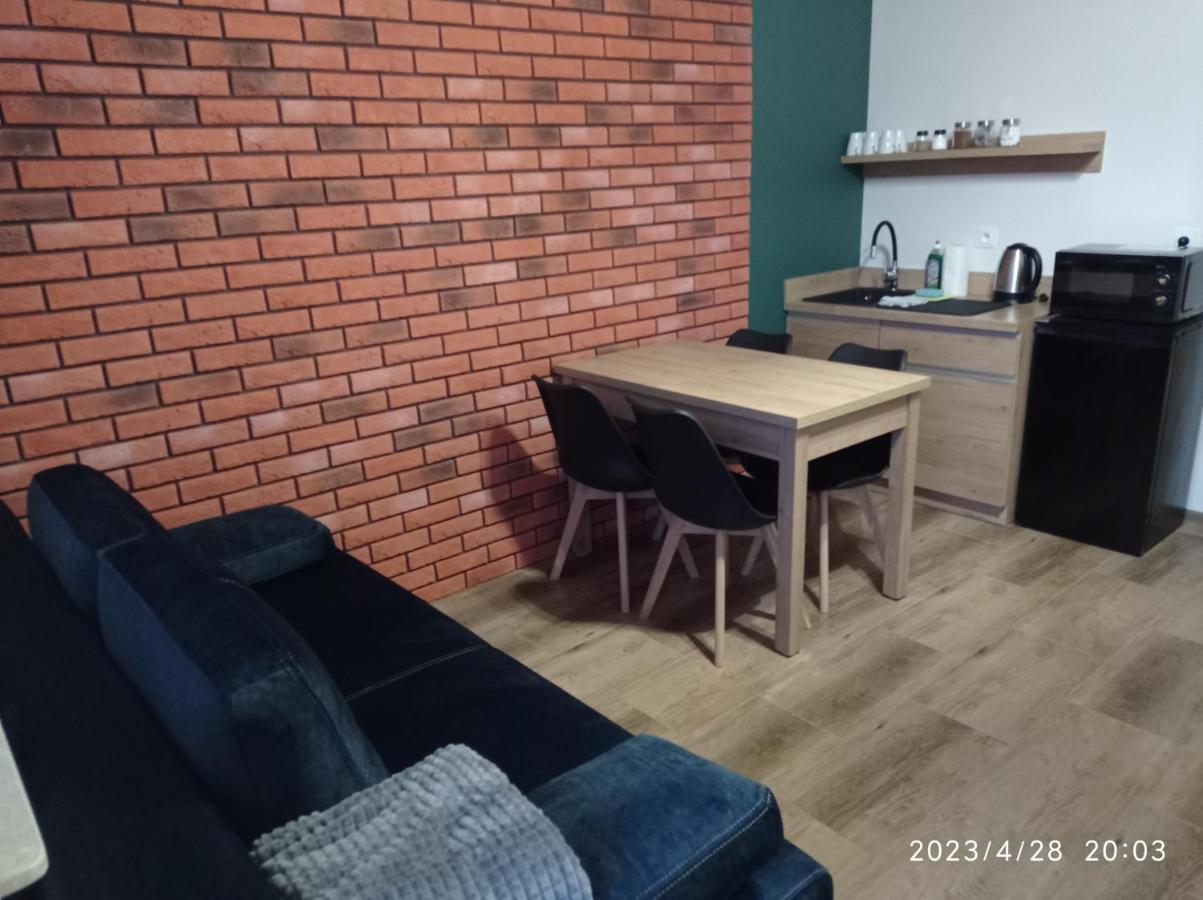 Вилла Loft Park Zator, Lokalizacja Przy Wej Parku Экстерьер фото