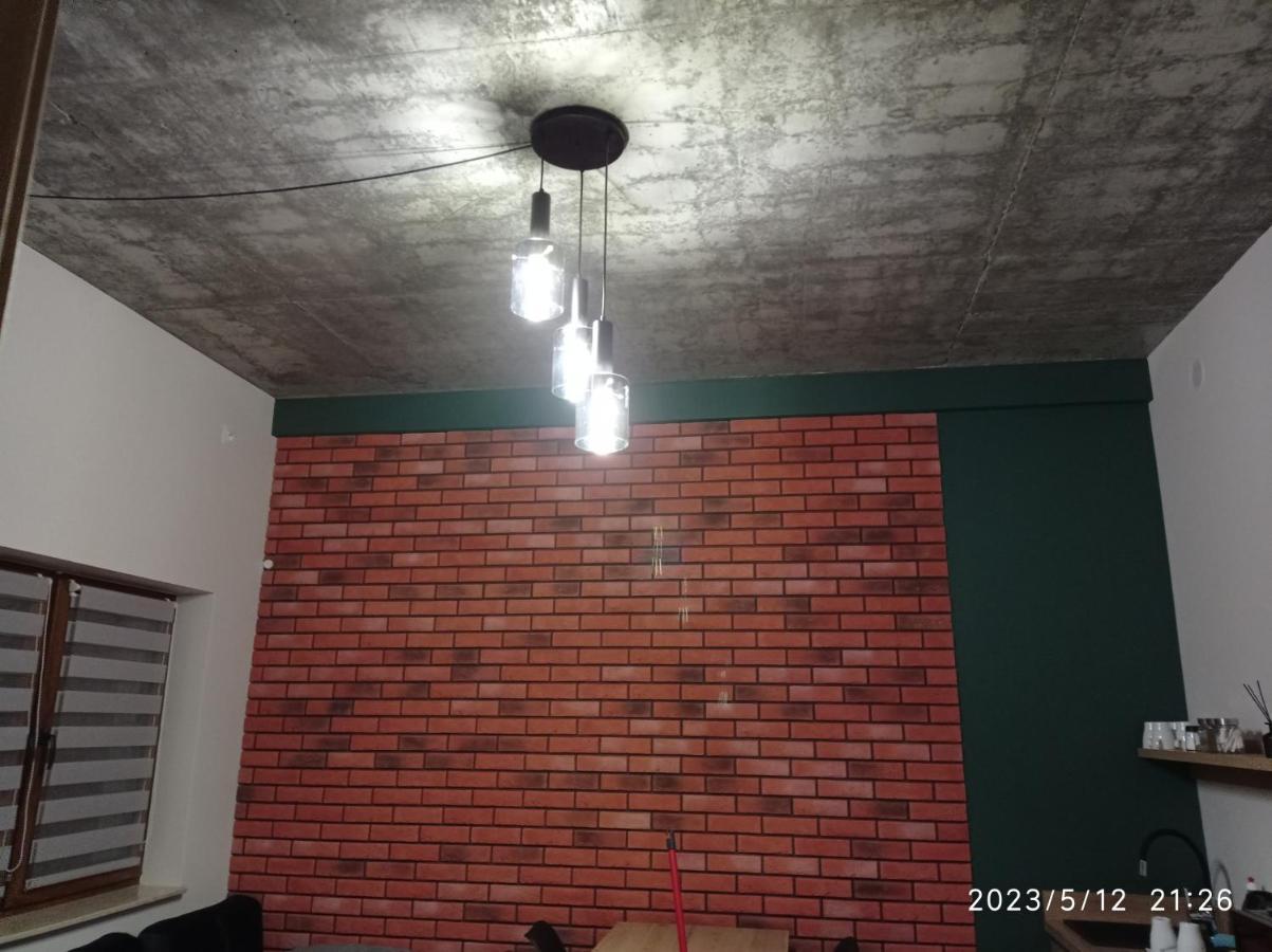 Вилла Loft Park Zator, Lokalizacja Przy Wej Parku Экстерьер фото