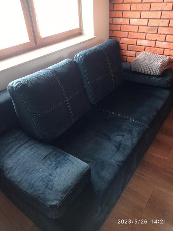 Вилла Loft Park Zator, Lokalizacja Przy Wej Parku Экстерьер фото
