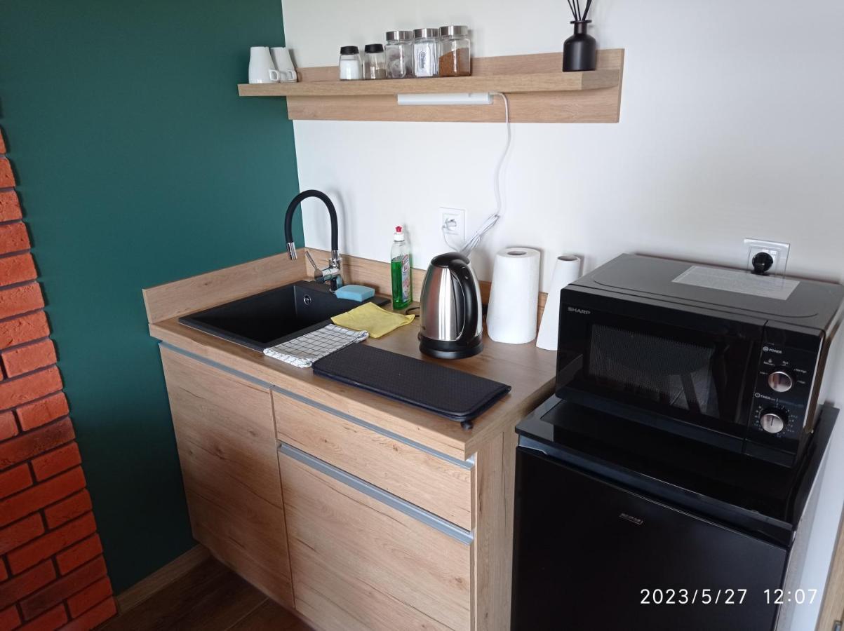 Вилла Loft Park Zator, Lokalizacja Przy Wej Parku Экстерьер фото